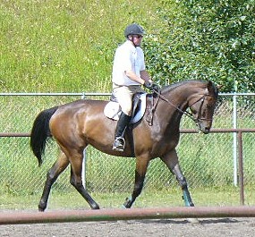 Quesnel Show 019cr