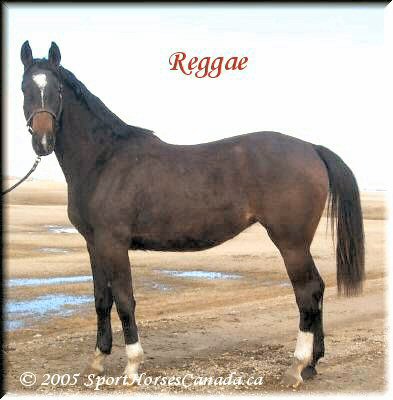 Reggae3